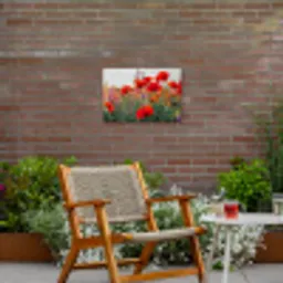 Klaproos - Bloemen - Rood - Paars - Weide Tuinposter op houten frame 2 cm dik klein -sfeer3