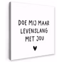 Spreuken - Doe mij maar levenslang met jou - Quotes Tuinposter op houten frame 2 cm dik klein -3d