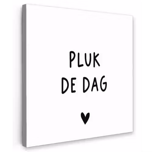 Spreuken - Quotes - Pluk de dag - Carpe diem Tuinposter op houten frame 2 cm dik klein -3d