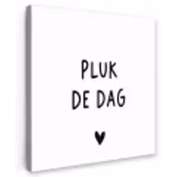 Spreuken - Quotes - Pluk de dag - Carpe diem Tuinposter op houten frame 2 cm dik klein -3d