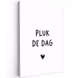 Spreuken - Pluk de dag - Quotes - Carpe diem Tuinposter op houten frame 2 cm dik klein -3d