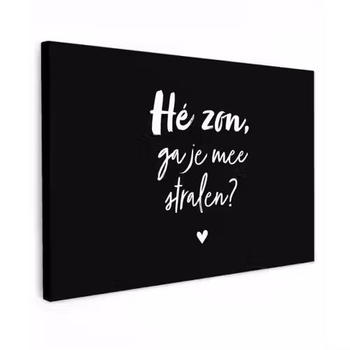 Quotes - Hé zon, ga je mee stralen? - Zomer - Tekst - Zon Tuinposter op houten frame 2 cm dik klein -3d