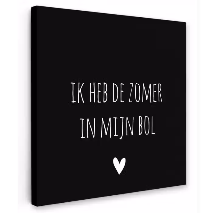 Quotes - Ik heb de zomer in mijn bol - André Hazes - Spreuken Tuinposter op houten frame 2 cm dik klein -3d