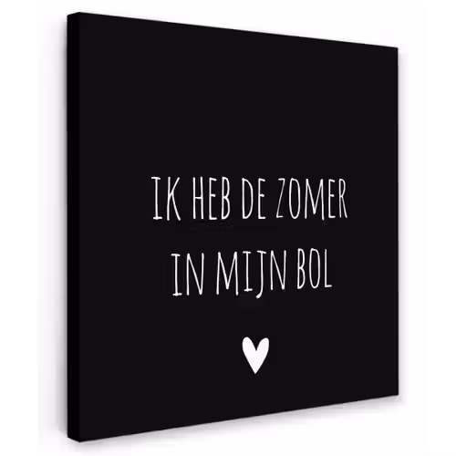 Quotes - Ik heb de zomer in mijn bol - André Hazes - Spreuken Tuinposter op houten frame 2 cm dik klein -3d