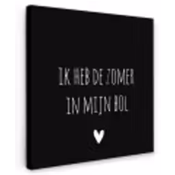 Quotes - Ik heb de zomer in mijn bol - André Hazes - Spreuken Tuinposter op houten frame 2 cm dik klein -3d