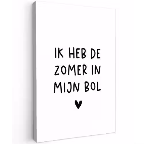 Quotes - Spreuken - André Hazes - Ik heb de zomer in mijn bol Tuinposter op houten frame 2 cm dik klein -3d