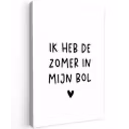 Quotes - Spreuken - André Hazes - Ik heb de zomer in mijn bol Tuinposter op houten frame 2 cm dik klein -3d
