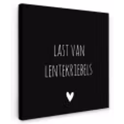 Quotes - Spreuken - Lentekriebels Tuinposter op houten frame 2 cm dik klein -3d