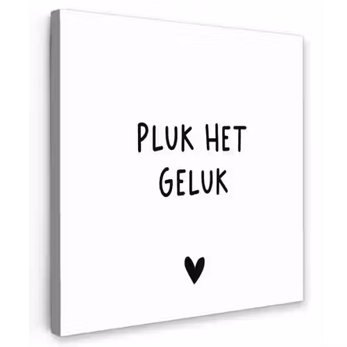 Quotes - Pluk het geluk - Spreuken Tuinposter op houten frame 2 cm dik klein -3d