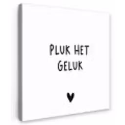 Quotes - Pluk het geluk - Spreuken Tuinposter op houten frame 2 cm dik klein -3d