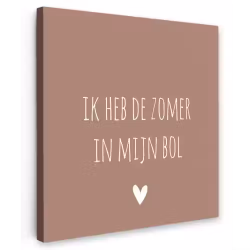 Spreuken - Ik heb de zomer in mijn bol - Quotes - André Hazes Tuinposter op houten frame 2 cm dik klein -3d