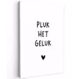 Pluk het geluk - Quotes - Spreuken Tuinposter op houten frame 2 cm dik klein -3d