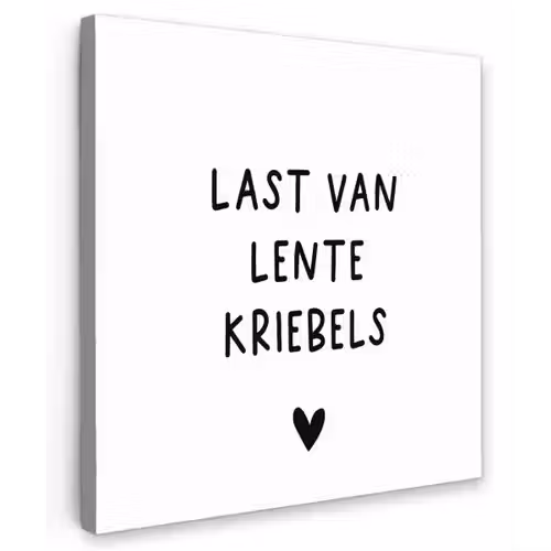 Last van lentekriebels - Spreuken - Quotes Tuinposter op houten frame 2 cm dik klein -3d