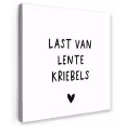 Last van lentekriebels - Spreuken - Quotes Tuinposter op houten frame 2 cm dik klein -3d