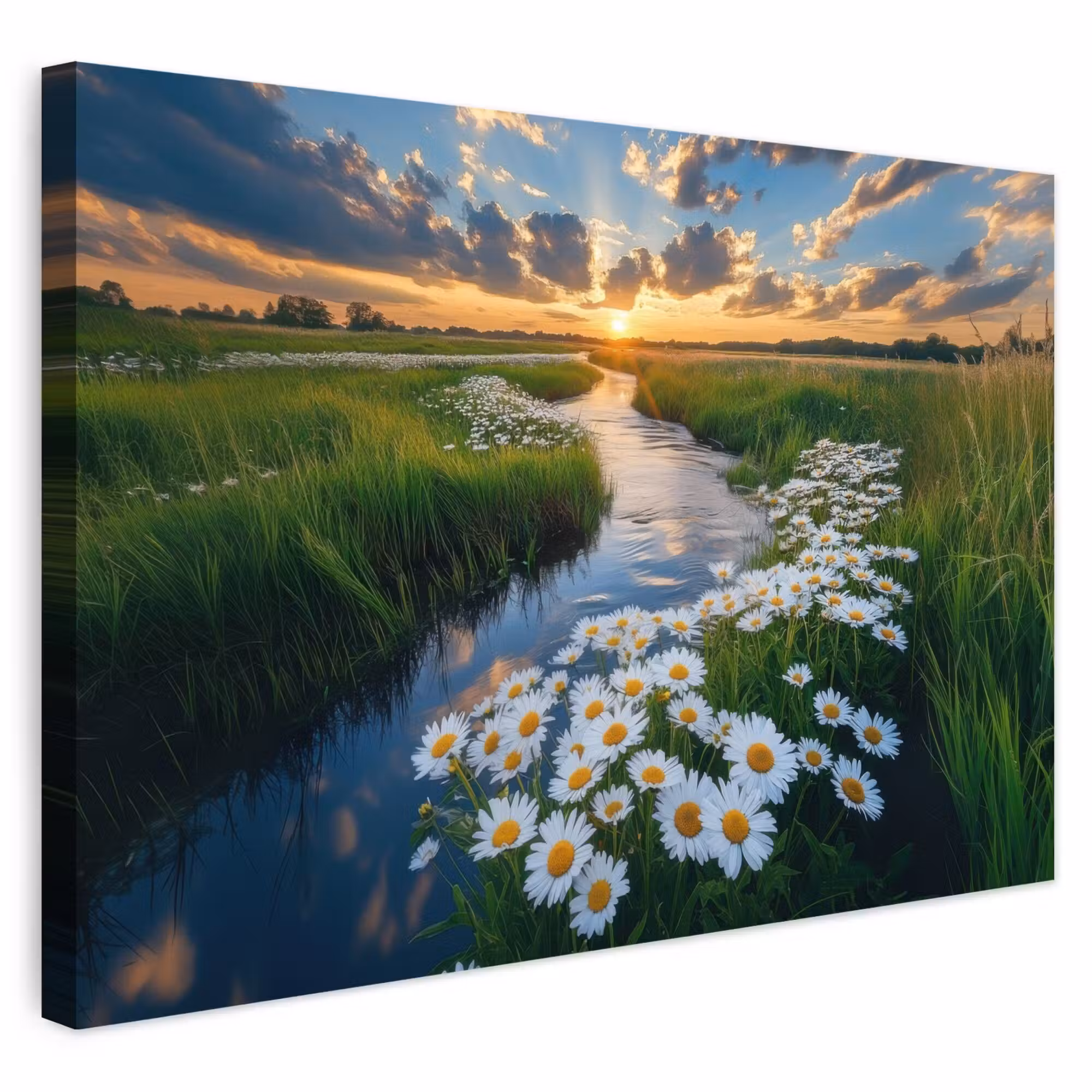 Outdoor Canvas Print - Stream - landscape - daisy