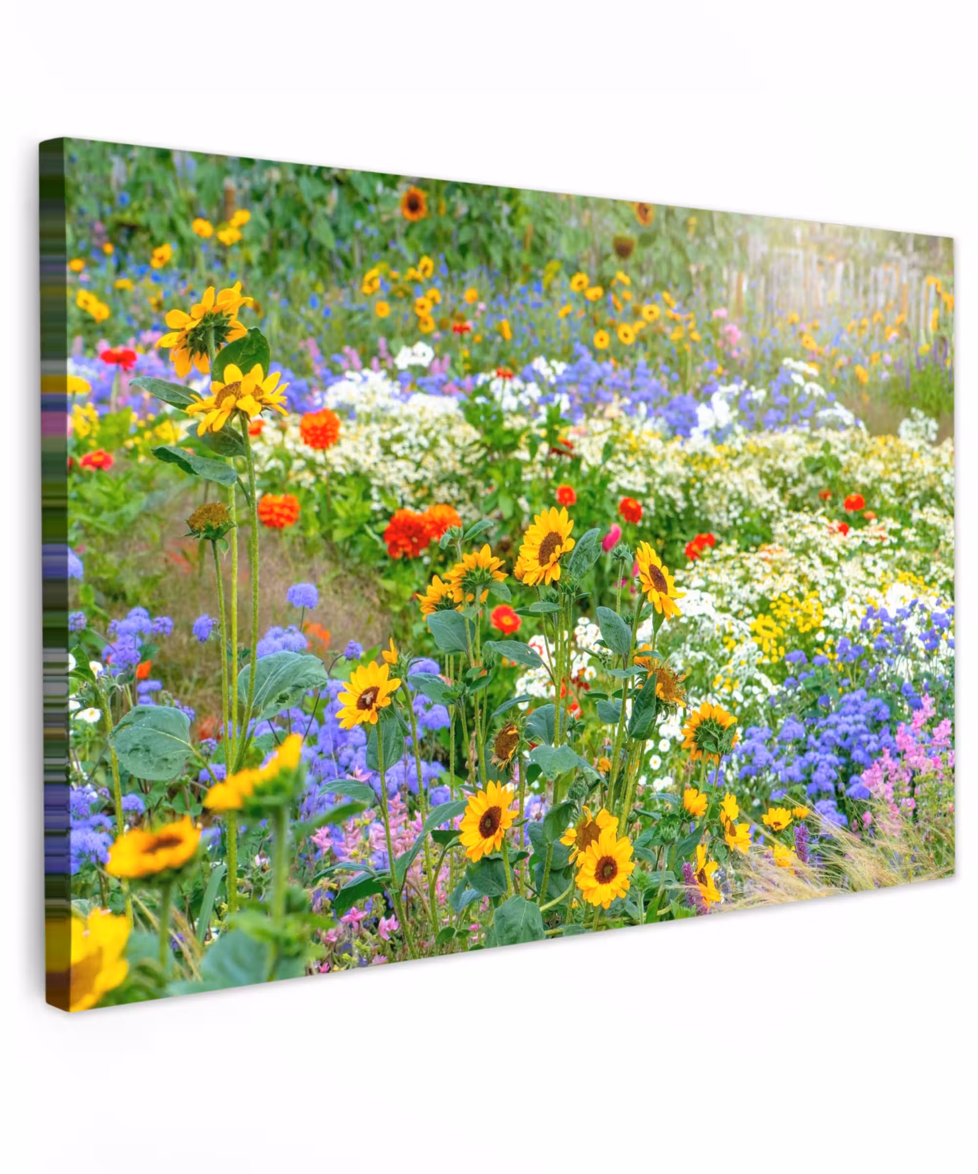 Outdoor Canvas Print - Summer flowers in full bloom