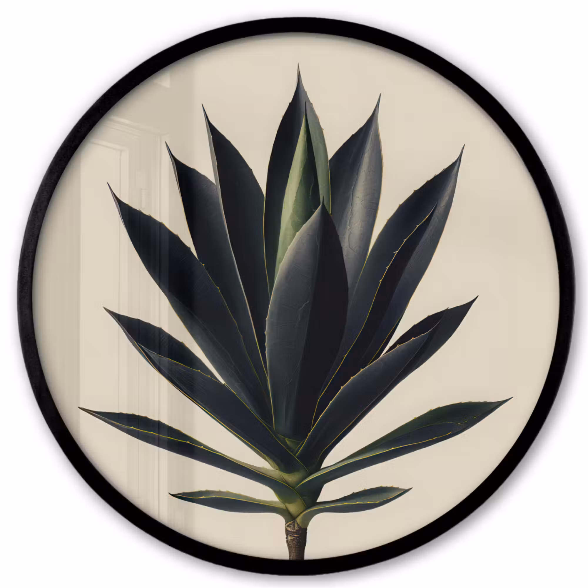 Photo Frame Round - Agave plant - Symmetrical - Green