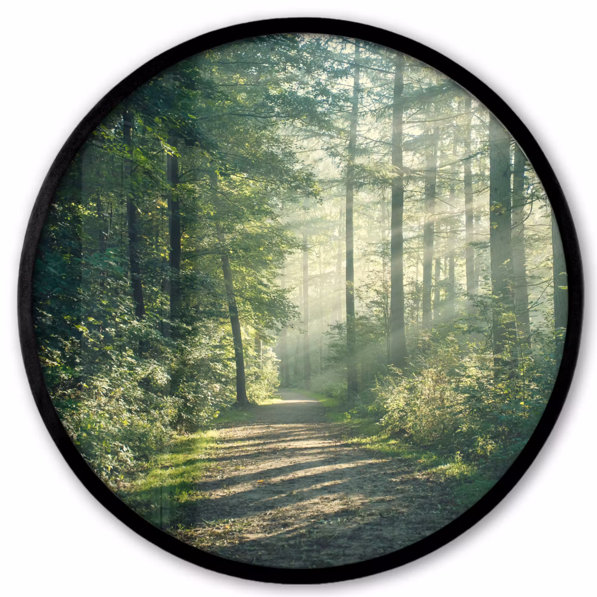 Photo Frame Round - Forest - Path - Sun - Trees - Green - Nature