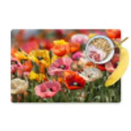Bloemenveld - Klaprozen - Kleurrijk Placemat vinyl groot -zzzproduct_Kitchenyeah-website