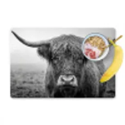 Schotse hooglander - Zwart - Wit - Gras Placemat vinyl groot -zzzproduct_Kitchenyeah-website