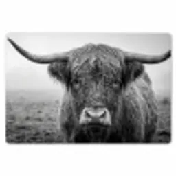 Schotse hooglander - Zwart - Wit - Gras Placemat vinyl groot -zzsfeer1_Kitchenyeah-website