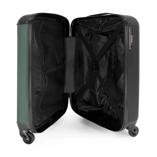 Groene achtergrond met dubbele verticale zwarte strepen NBS - Handbagage koffer - Volwassenen Unisex middel -binnenkant