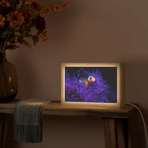 Koraal - Vis - Oranje - Zee Light Box met kabel (Tafellamp) klein -sfeer4