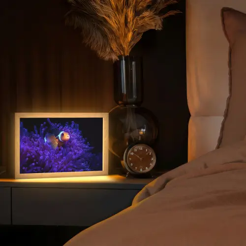 Koraal - Vis - Oranje - Zee Light Box met kabel (Tafellamp) klein -sfeer1