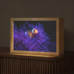 Koraal - Vis - Oranje - Zee Light Box met kabel (Tafellamp) klein -z3d_website