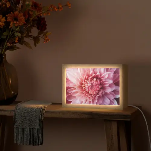 Dahlia - Bloem - Close up - Roze Light Box met kabel (Tafellamp) klein -sfeer4