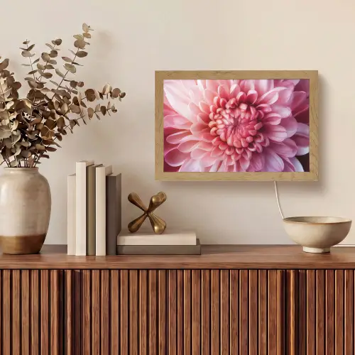 Dahlia - Bloem - Close up - Roze Light Box met kabel (Tafellamp) klein -sfeer2
