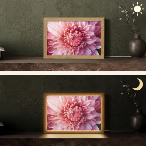 Dahlia - Bloem - Close up - Roze Light Box met kabel (Tafellamp) klein -sfeer3