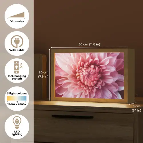 Dahlia - Bloem - Close up - Roze Light Box met kabel (Tafellamp) klein -USP_EN
