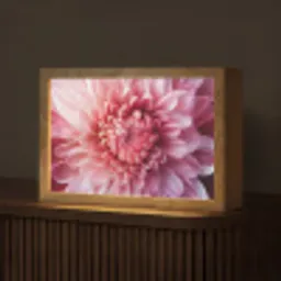 Dahlia - Bloem - Close up - Roze Light Box met kabel (Tafellamp) klein -z3d_website