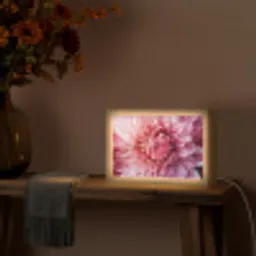 Dahlia - Bloem - Close up - Roze Light Box met kabel (Tafellamp) klein -sfeer4