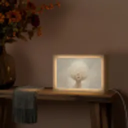 Dromerig - Beige - Paardenbloemzaadjes Light Box met kabel (Tafellamp) klein -sfeer4