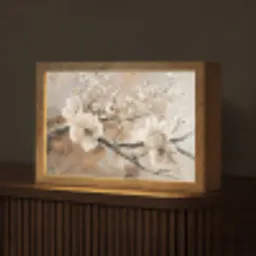 Bloemen - Natuur - Wit - Bloesem - Abstract Light Box met kabel (Tafellamp) klein -z3d_website