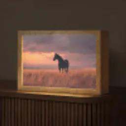 Paard - Wolken - Open veld Light Box met kabel (Tafellamp) klein -z3d_website