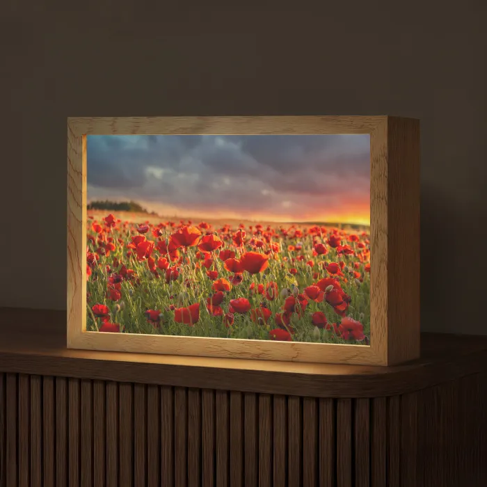 Zonsondergang - Klaprozen - Rood - Bloemen - Veld - Natuur Light Box met kabel (Tafellamp) klein -z3d_website
