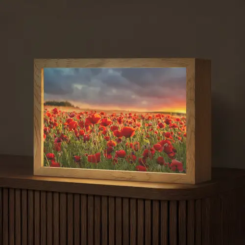 Zonsondergang - Klaprozen - Rood - Bloemen - Veld - Natuur Light Box met kabel (Tafellamp) klein -z3d_website