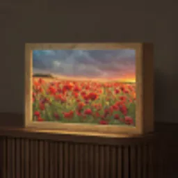 Zonsondergang - Klaprozen - Rood - Bloemen - Veld - Natuur Light Box met kabel (Tafellamp) klein -z3d_website