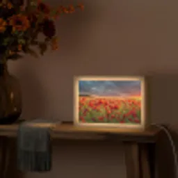 Zonsondergang - Klaprozen - Rood - Bloemen - Veld - Natuur Light Box met kabel (Tafellamp) klein -sfeer4
