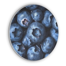 Bessen - Blauw - Fruit Akoestische PET Vilt - Rond klein -3d