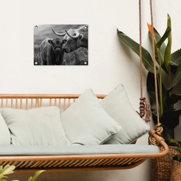 Schotse hooglander - Kalf - Zwart - Wit tuinposter los doek klein -sfeer7