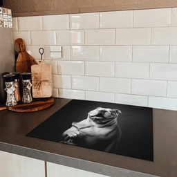 Buldog - Hond - Glas Inductie beschermer vinyl 3mm middel -sfeer3