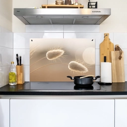 Hazestaartgras - Graanharen - Zonlicht Inductie beschemer met haakjes klein -sfeer2