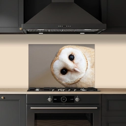 Uil - Bruin - Wit keuken achterwand spatscherm klein -sfeer1