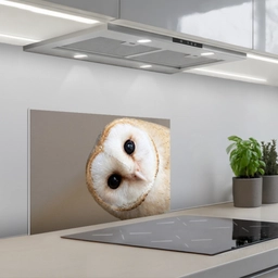 Uil - Bruin - Wit keuken achterwand spatscherm klein -3d_schuin