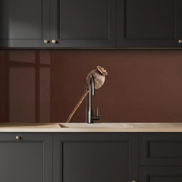 Papaverbol - Droogbloem - Bruin - Minimalistisch keuken achterwand 2 middel -sfeer1