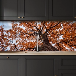 Boom - Bladerdak - Herfst - Oranje - Sfeervol keuken achterwand 2 middel -sfeer1